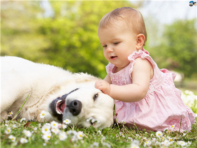 Life is beautiful with kids and pets around.